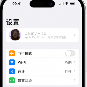 洪山appleID维修服务iPhone设置中Apple ID显示为灰色无法使用 