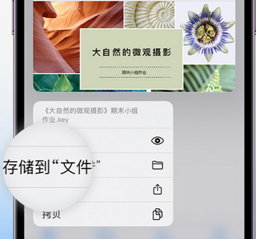 洪山apple维修中心分享iPhone文件应用中存储和找到下载文件