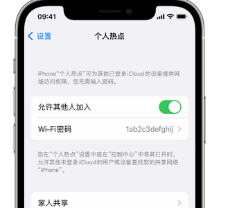 洪山apple服务站点分享iPhone上个人热点丢失了怎么办 