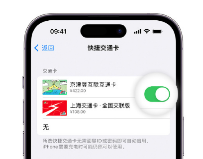 洪山apple维修点分享iPhone上更换Apple Pay快捷交通卡手绘卡面 