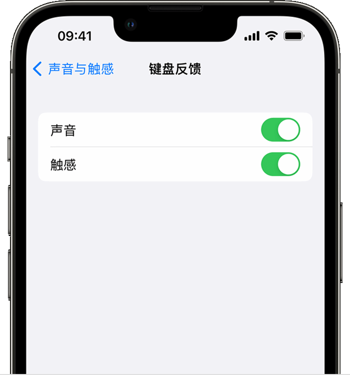 洪山苹果14维修店分享如何在 iPhone 14 机型中使用触感键盘 