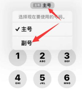 洪山苹果14维修店分享iPhone 14 Pro Max使用副卡打电话的方法 