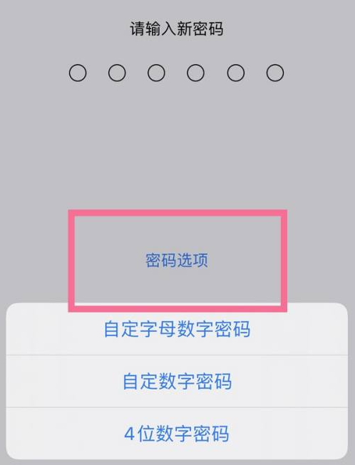 洪山苹果14维修分享iPhone 14plus设置密码的方法 