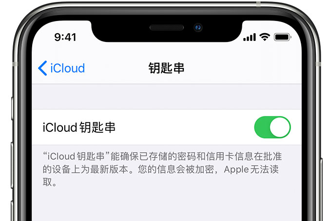 洪山苹果手机维修分享在 iPhone 上开启 iCloud 钥匙串之后会储存哪些信息 