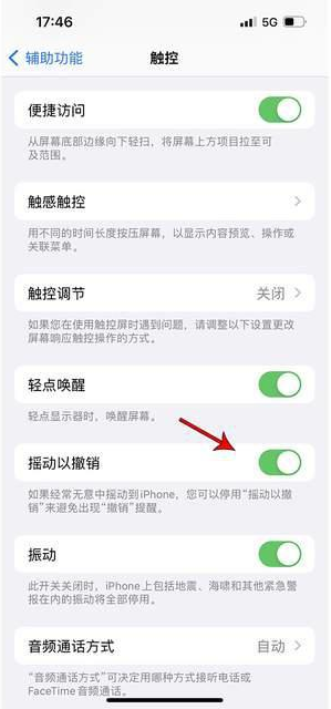 洪山苹果手机维修分享iPhone手机如何设置摇一摇删除文字 